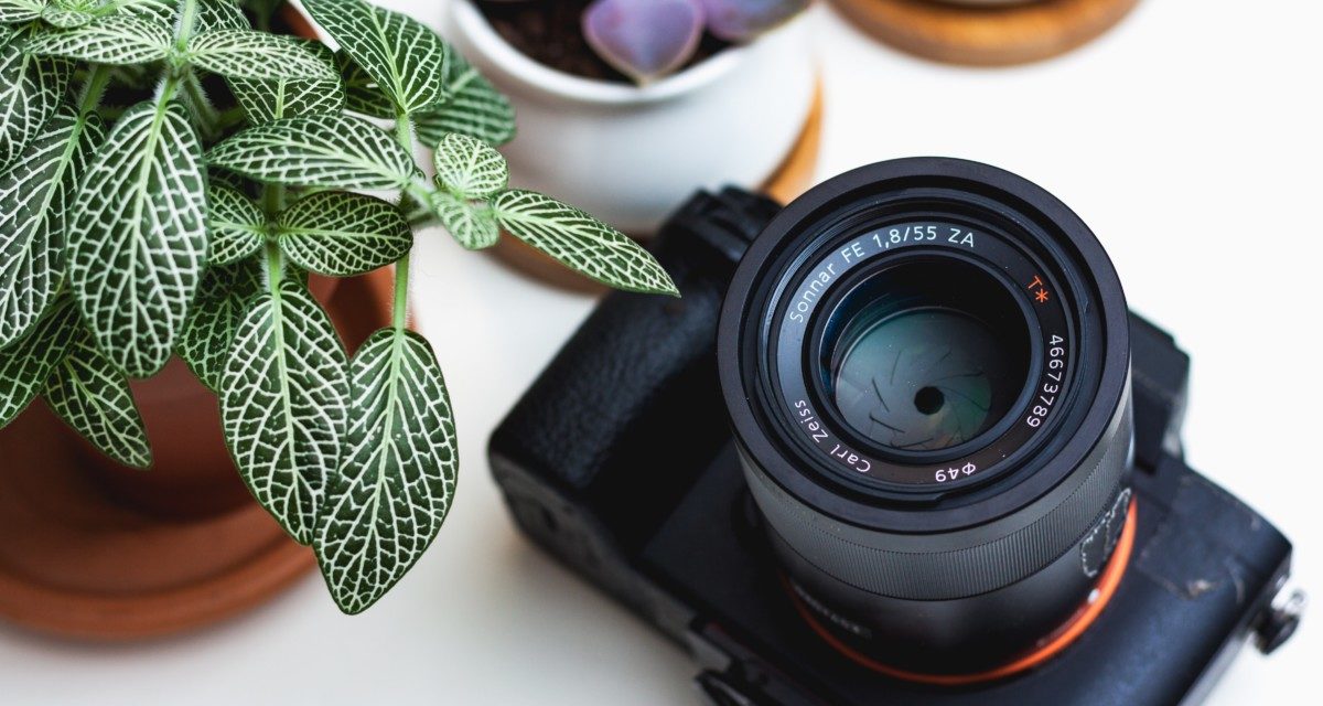 Choosing the Right Digital SLR Camera