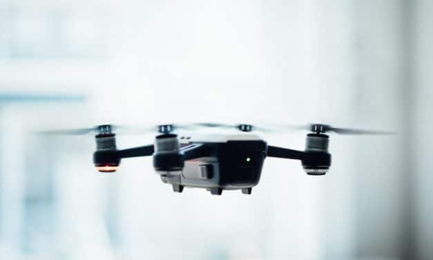 All That You Have to Know About the Drone in the Hive