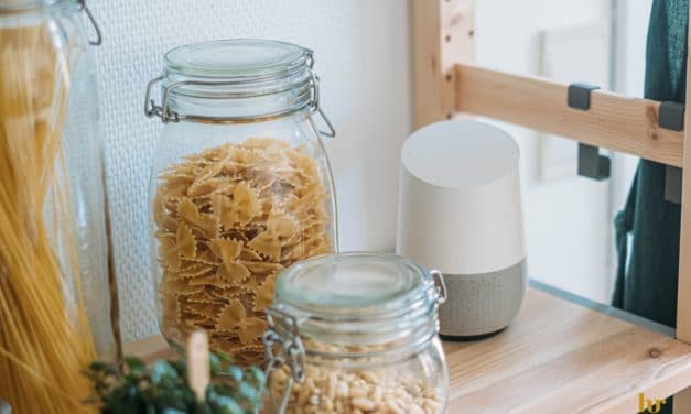 Artificial Intelligent Assistant Devices – And Future Big Government Surveillance