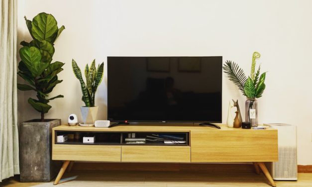 LED TV – Don’t Be Fooled, Understand the Technology First